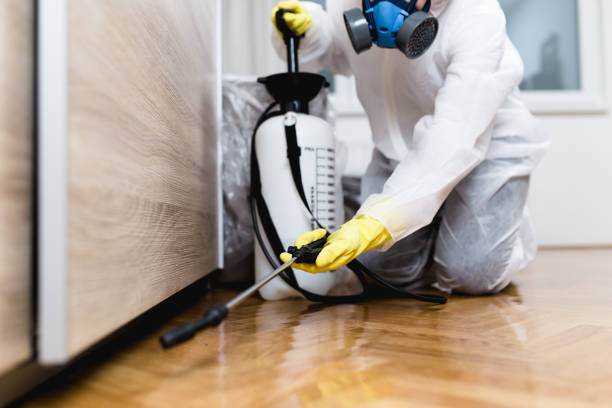Best Emergency Pest Control  in Dovesville, SC