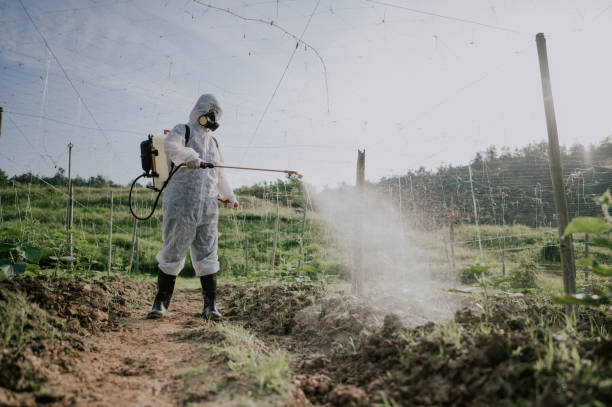 Best Pest Prevention Services  in Dovesville, SC