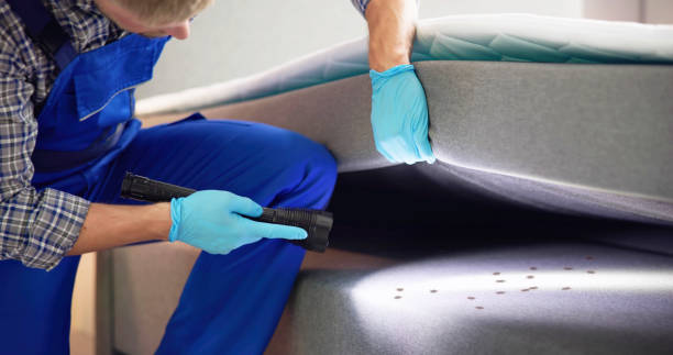 Best Rat Extermination Near Me  in Dovesville, SC