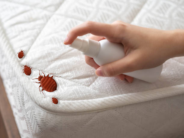 Best Affordable Pest Control Services  in Dovesville, SC
