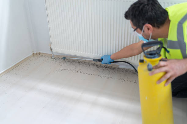 Best Bed Bug Extermination  in Dovesville, SC