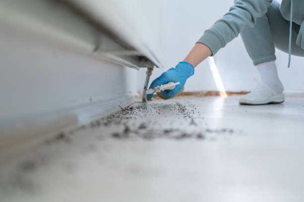 Best Best Pest Control Companies  in Dovesville, SC